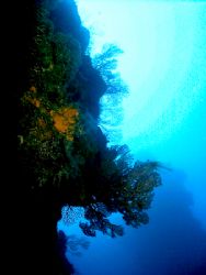 Long way from the surface . This photo was taken after ex... by Steven Anderson 